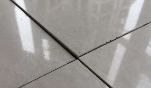1606440149829585.jpg